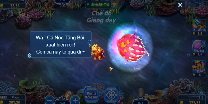 ko66 bắn cá đã trở thành một điểm đến quen thuộc với nhiều ngư thủ